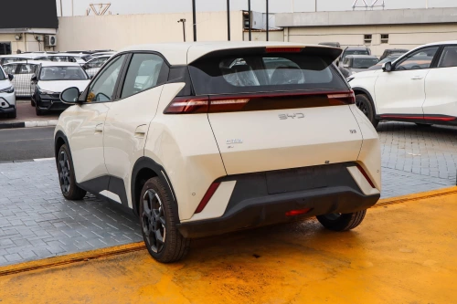 Byd Seagull Flying Edition Fully Electric 2025 Model Year Beige Color Exterior 