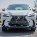 Lexus NX350 Premier 2.4L Petrol 2025 Model Year White Color Exterior  - Thumbnail 2