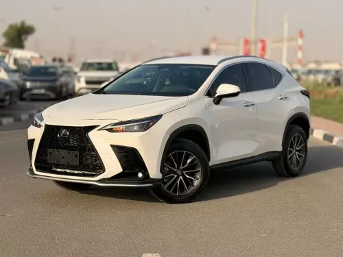 Lexus NX250 2.5L Petrol 2025 Model Year White Color Exterior 