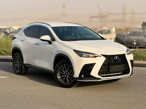Lexus NX250 2.5L Petrol 2025 Model Year White Color Exterior 