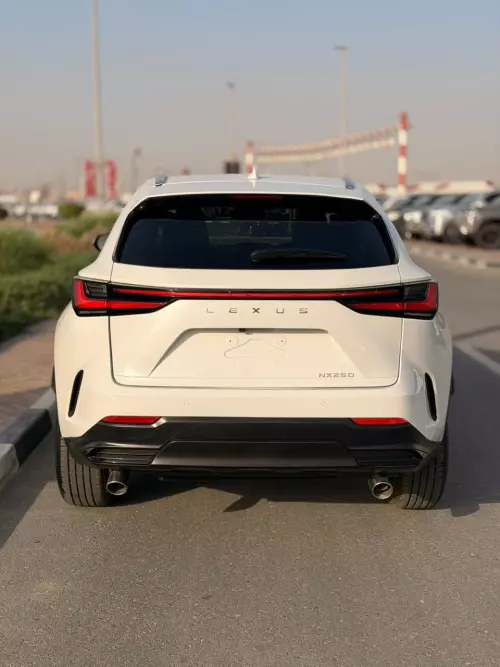 Lexus NX250 2.5L Petrol 2025 Model Year White Color Exterior 