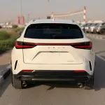 Lexus NX250 2.5L Petrol 2025 Model Year White Color Exterior  - Thumbnail 4