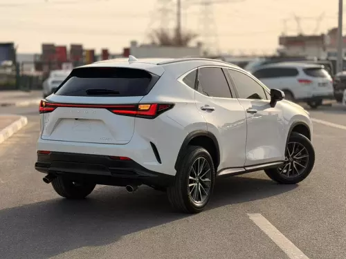 Lexus NX250 2.5L Petrol 2025 Model Year White Color Exterior 
