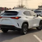 Lexus NX250 2.5L Petrol 2025 Model Year White Color Exterior  - Thumbnail 5