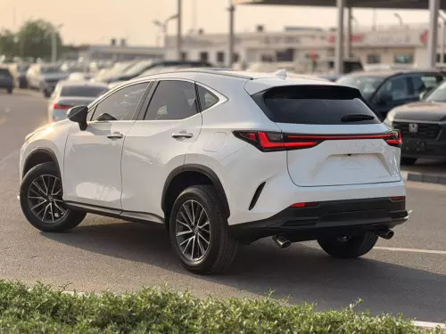 Lexus NX250 2.5L Petrol 2025 Model Year White Color Exterior 