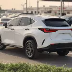Lexus NX250 2.5L Petrol 2025 Model Year White Color Exterior  - Thumbnail 6