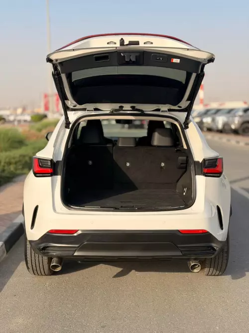 Lexus NX250 2.5L Petrol 2025 Model Year White Color Exterior 