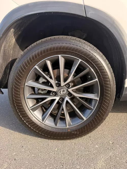 Lexus NX250 2.5L Petrol 2025 Model Year White Color Exterior 