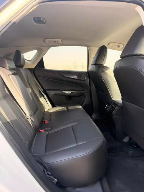 Lexus NX250 2.5L Petrol 2025 Model Year White Color Exterior 