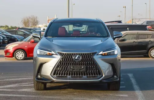 Lexus NX350 Full Option 2025 Model Year Silver Exterior