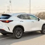 لكزس NX250 بليتينيوم 2.5L مستعملة 2024 - أبيض  - Thumbnail 3