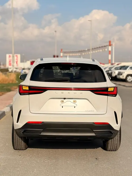لكزس NX250 بليتينيوم 2.5L مستعملة 2024 - أبيض 