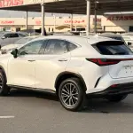 لكزس NX250 بليتينيوم 2.5L مستعملة 2024 - أبيض  - Thumbnail 5