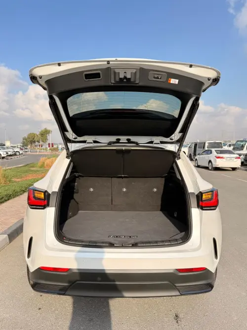 لكزس NX250 بليتينيوم 2.5L مستعملة 2024 - أبيض 