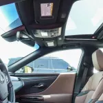 LEXUS ES300 HYBRID LUXURY COLOR OUTSIDE TITANIUM INSIDE BROWN MODEL 2023. - Thumbnail 15