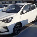 CHANGAN E-STAR ELECTRIC CAR , AUTOMATIC TRANSMISSION , POWER WINDOWS 2022MY - Thumbnail 10