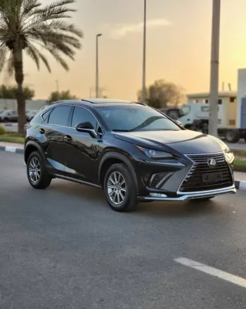 LEXUS NX300 2020 2.5L V4 4WD