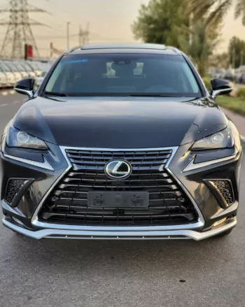 LEXUS NX300 2020 2.5L V4 4WD