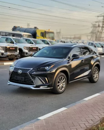 LEXUS NX300 2020 2.5L V4 4WD
