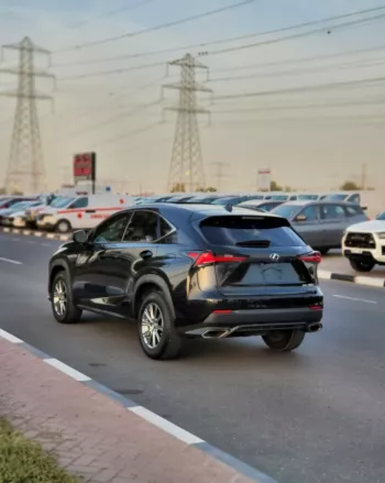 LEXUS NX300 2020 2.5L V4 4WD