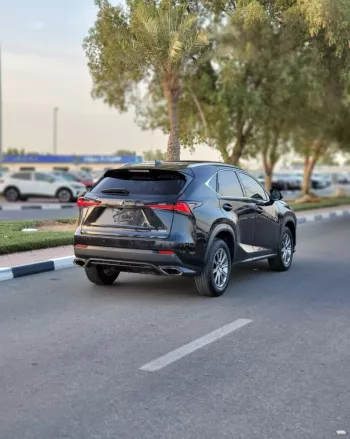 LEXUS NX300 2020 2.5L V4 4WD