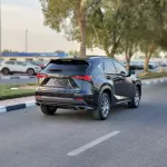 LEXUS NX300 2020 2.5L V4 4WD - Thumbnail 6