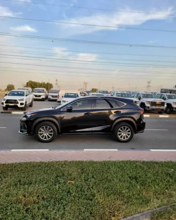 LEXUS NX300 2020 2.5L V4 4WD