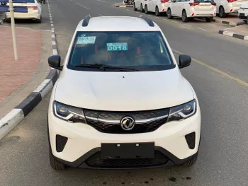 Dongfeng EX1 2022 PRO Tiger Yao Edition Deluxe ELECTRIC CAR EX1