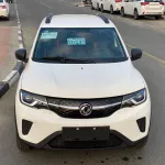 Dongfeng EX1 2022 PRO Tiger Yao Edition Deluxe ELECTRIC CAR EX1 - Thumbnail 2