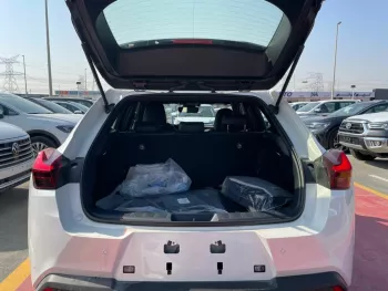 LEXUS ux300e / electric car / 2022
